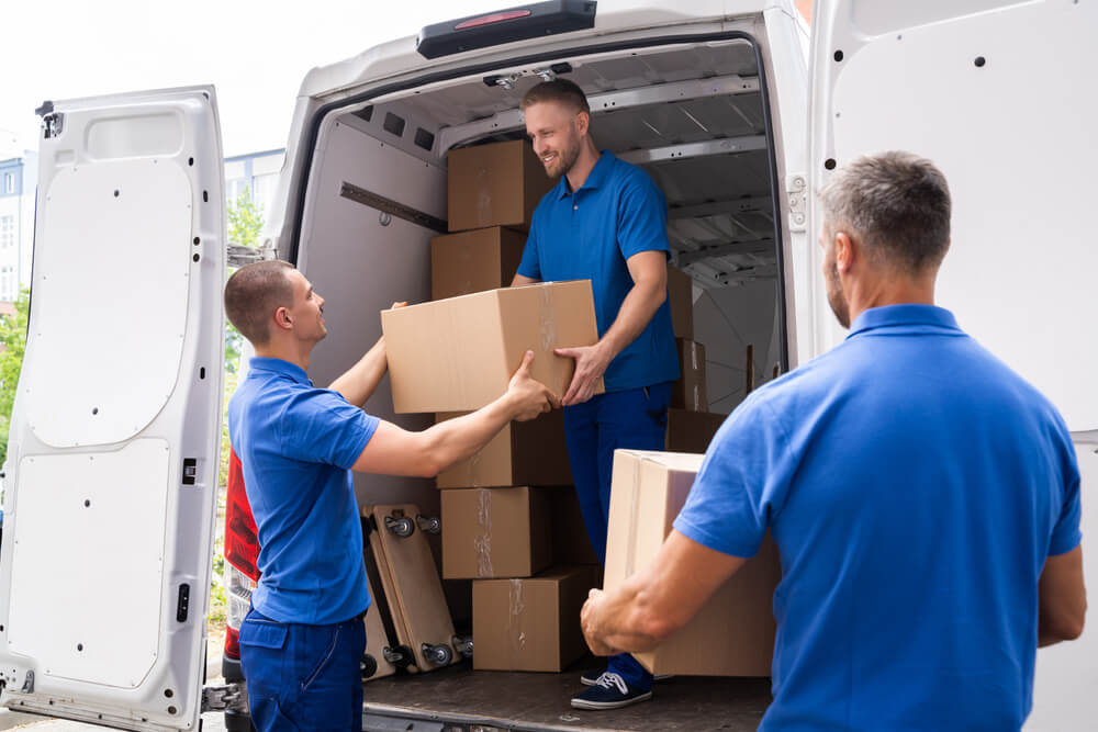 Experienced Movers For Apartments And Houses